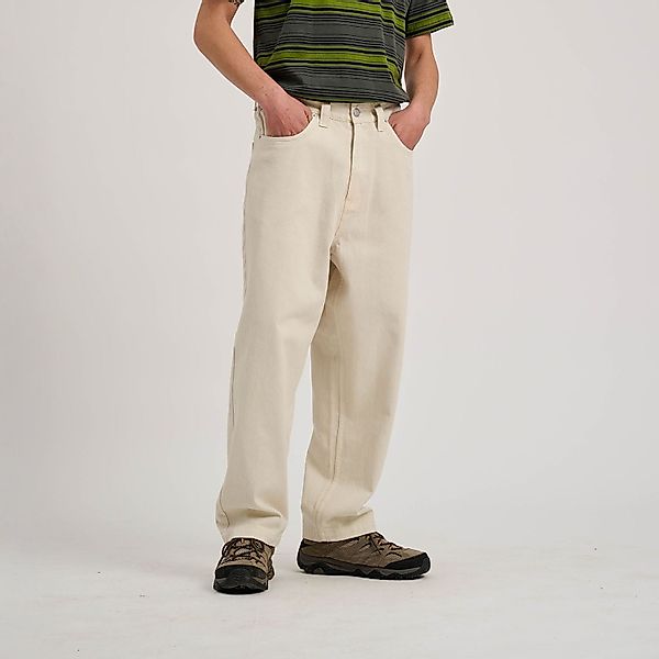 Santa Cruz Webhose BIG PANTS günstig online kaufen