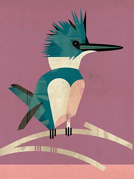Poster / Leinwandbild - Eisvogel günstig online kaufen
