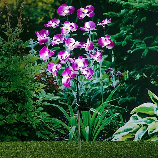 Haushalt International Gartenstecker Solar Gartenstecker Orchidee günstig online kaufen