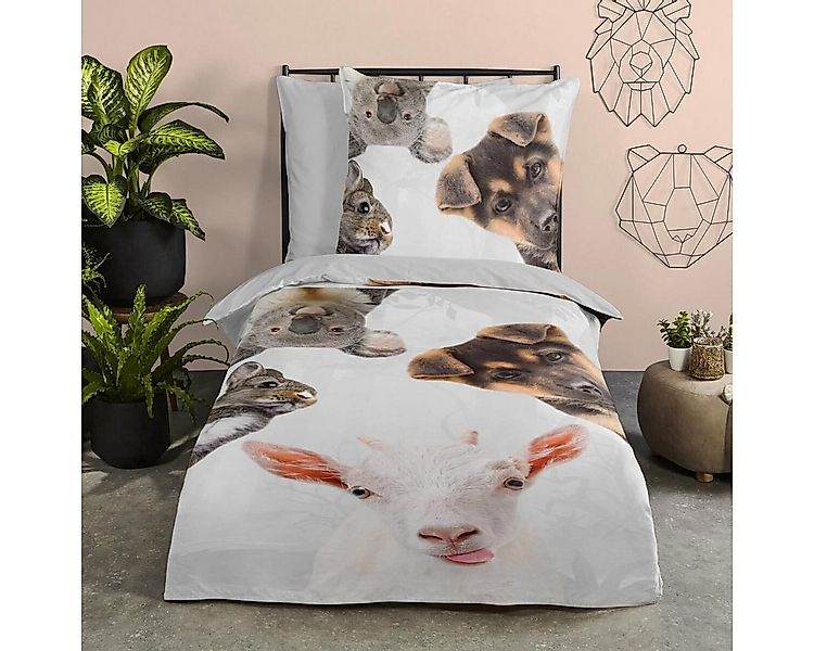 TRAUMSCHLAF Bettwäsche Semmie, Renforce, 2 teilig, aus glatter 100% Baumwol günstig online kaufen