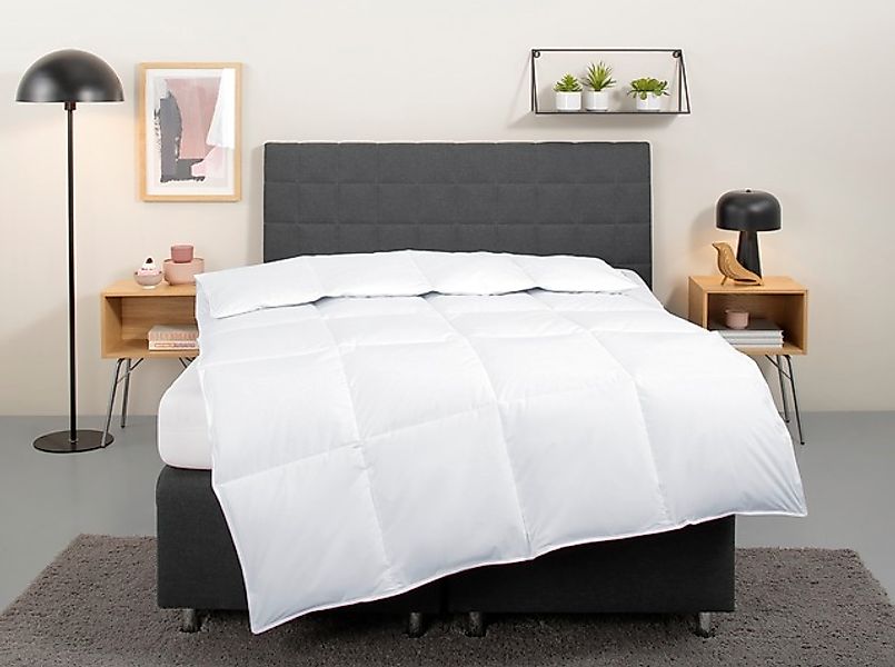 my home Daunenbettdecke »Cyra, Bettdecke 135x200 cm, 155x220 cm«, warm, Fül günstig online kaufen