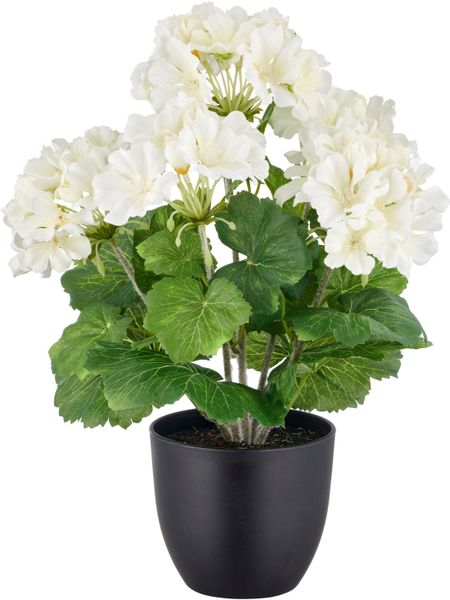 Creativ green Kunstpflanze "Geranie" in UV-beständiger Ausführung günstig online kaufen