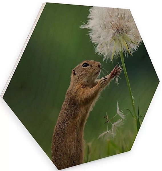 Wall-Art Holzbild »Eichhörnchen Holzbild Blumen«, (1 St.) günstig online kaufen