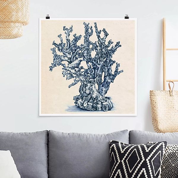 Poster Blumen - Quadrat Meereskorallen Studie II günstig online kaufen