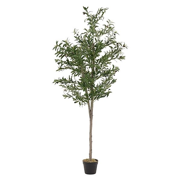 ML-Design Künstlicher Olivenbaum im Topf 180cm Groß mit Naturholzstamm günstig online kaufen