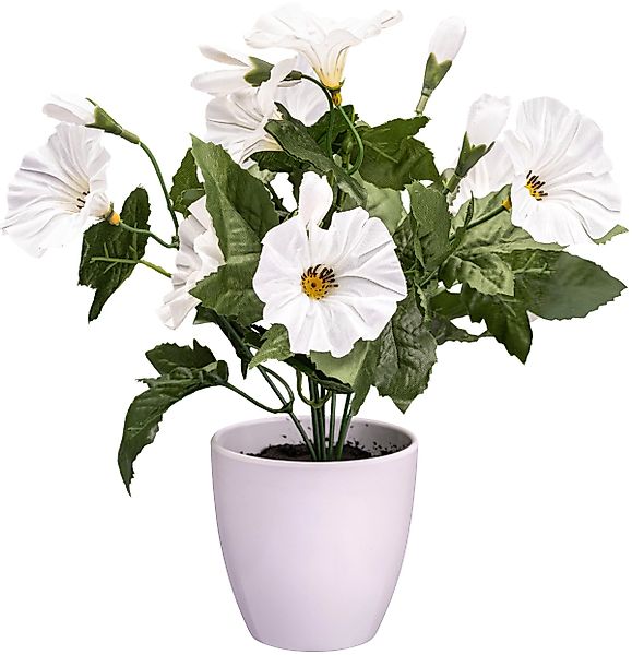 Kunstblume Petunie Mohn, Creativ green, Höhe günstig online kaufen