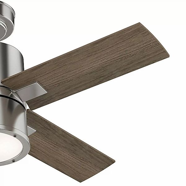 Hunter Beck Ventilator mit Licht, eiche/nickel günstig online kaufen