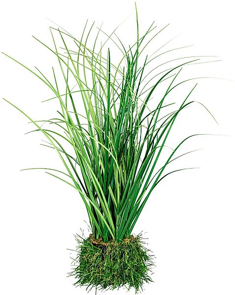 Kunstgras Grasbusch Gras, Creativ green, Höhe günstig online kaufen