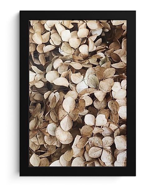 MuchoWow Poster Blätter - Beige - günstig online kaufen