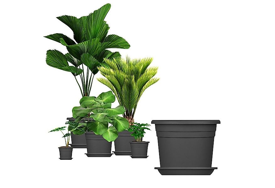 BigDean Blumentopf mit Untersetzer Kunststoff rund (Set, 5 St., Pflanztopf günstig online kaufen