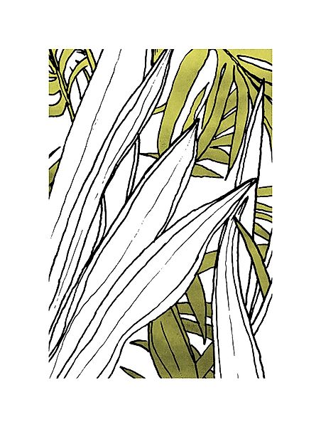 Komar Bild "Bleached Leaves", Natur, (1 St.), Wandbild zur Dekoration - ohn günstig online kaufen