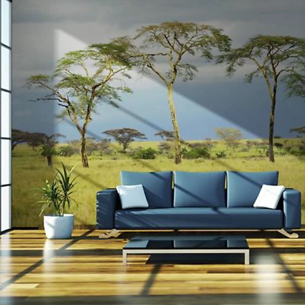 artgeist Fototapete Savanna trees grün/blau Gr. 200 x 154 günstig online kaufen