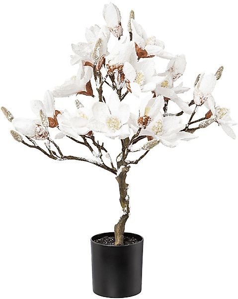 Winterliche Kunstpflanze Weihnachtsdeko Magnolie, Creativ green, günstig online kaufen