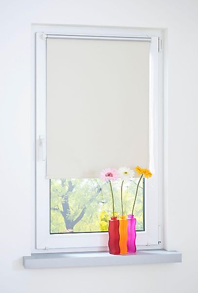 Seitenzugrollo, Liedeco, blickdicht, ohne Bohren, Klemmfix günstig online kaufen