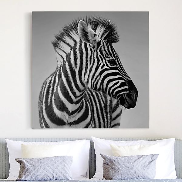 Leinwandbild - Quadrat Zebra Baby Portrait II günstig online kaufen