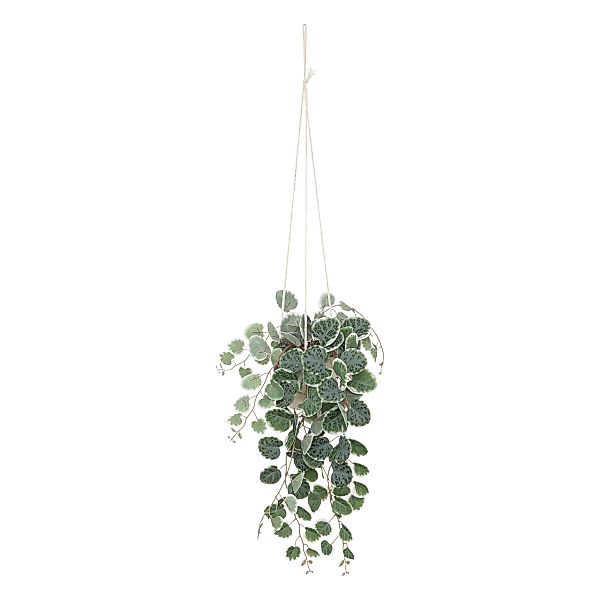 Kunstpflanze Zimmerpflanze, Atmosphera Créateur d'intérieur, Höhe günstig online kaufen