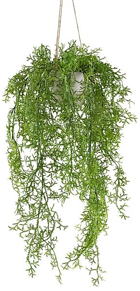 Kunstranke Moosfarn, Creativ green, Höhe 60 günstig online kaufen