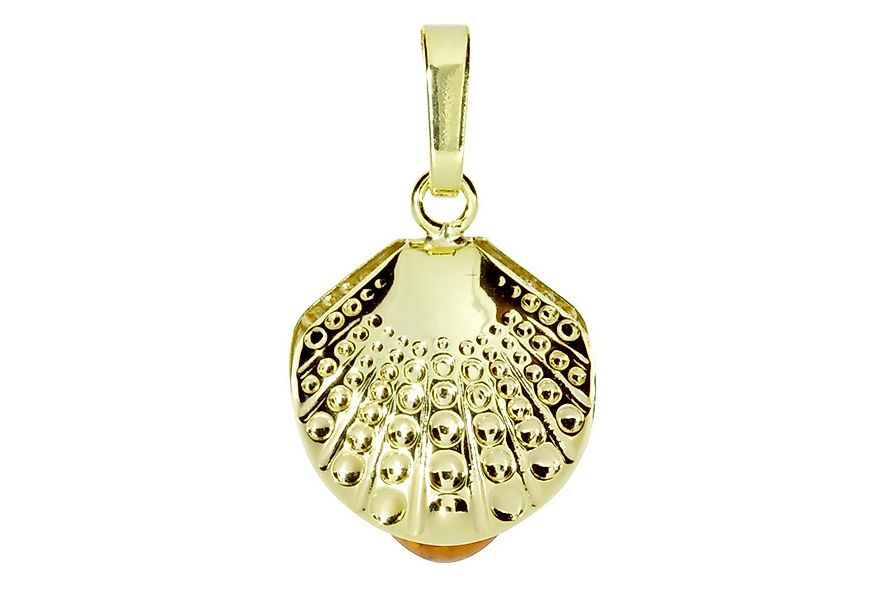 OSTSEE-SCHMUCK Kettenanhänger Ostsee-Schmuck Anhänger Muschel Anhänger Musc günstig online kaufen