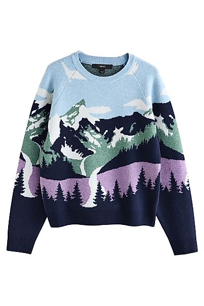 Next Rundhalspullover Langärmeliger, superweicher Pullover mit günstig online kaufen