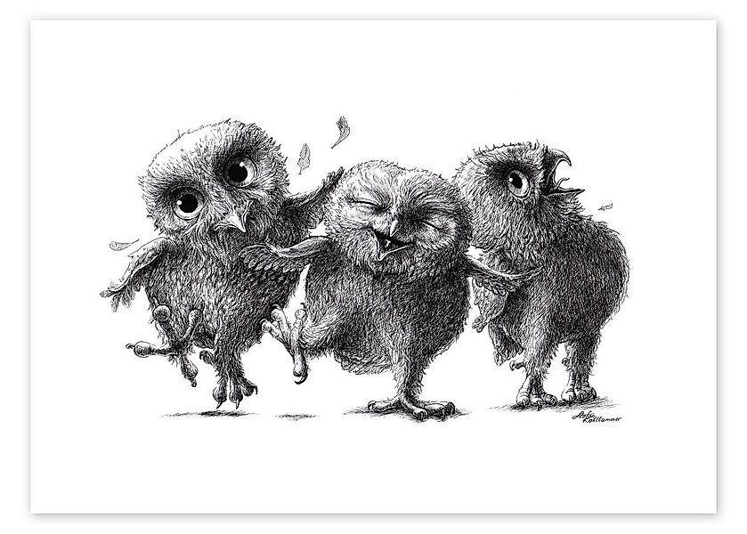 Posterlounge Wandbild Drei verrückte Eulen, Stefan Kahlhammer, erhältlich a günstig online kaufen