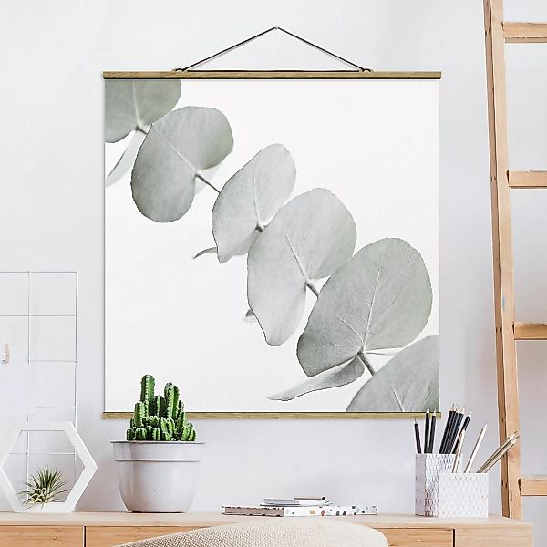 Stoffbild mit Posterleisten Eukalyptuszweig im Weißen Licht günstig online kaufen