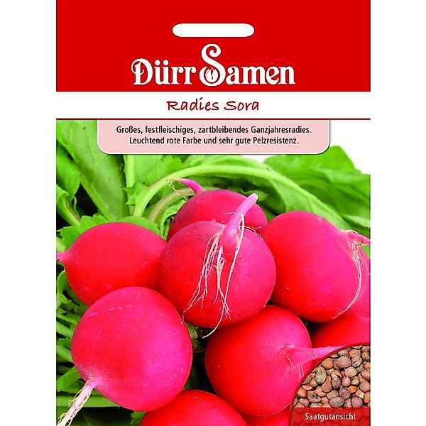Dürr Samen Radies Sora Saatgut günstig online kaufen