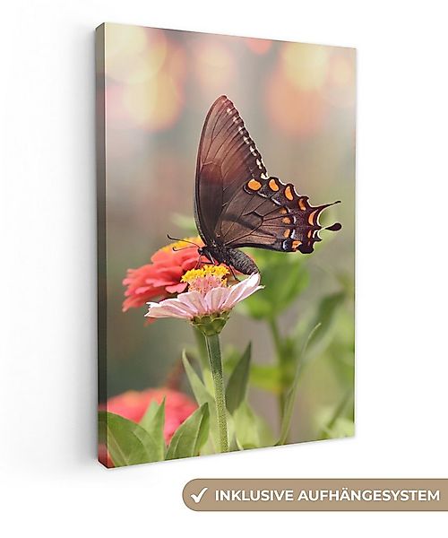 OneMillionCanvasses® Leinwandbild Blumen - Schmetterling - Natur - Blume, F günstig online kaufen