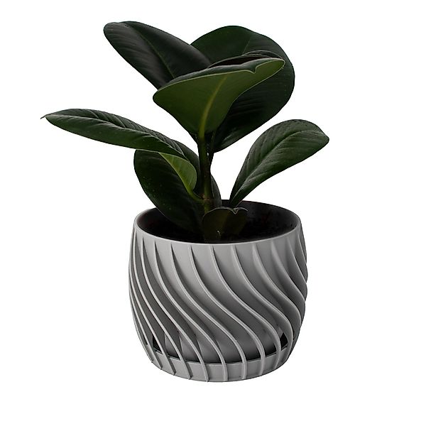 Shapes - Decorations Blumentopf The Plant günstig online kaufen