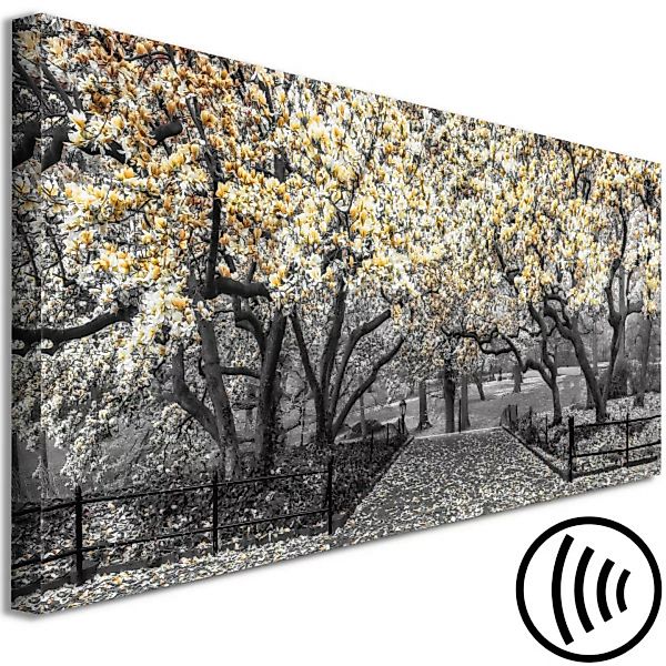 Bild auf Leinwand Blühende Magnolie - horizontale Magnolienkomposition in G günstig online kaufen