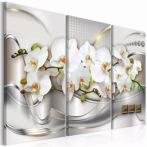 Wandbild - Blooming Orchids I günstig online kaufen