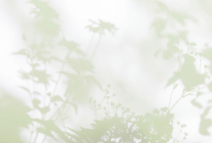 living walls Fototapete "Walls by Patel Shadow Room" glatt Vlies, Wand günstig online kaufen