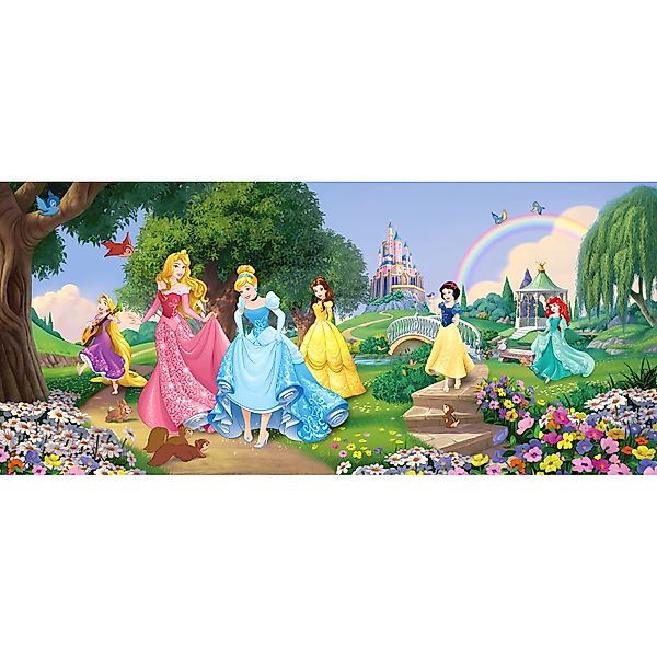 Disney Poster Prinzessinnen Grün Blau und Rosa 202 x 90 cm 600897 günstig online kaufen