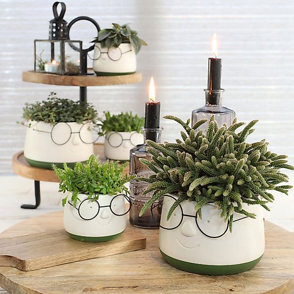 Annastore Übertopf Blumenübertöpfe in witzigem Design günstig online kaufen