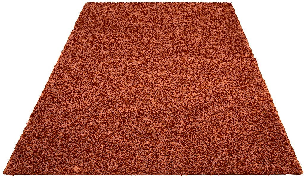 my home Hochflor-Teppich Viva, rechteckig, Höhe: günstig online kaufen
