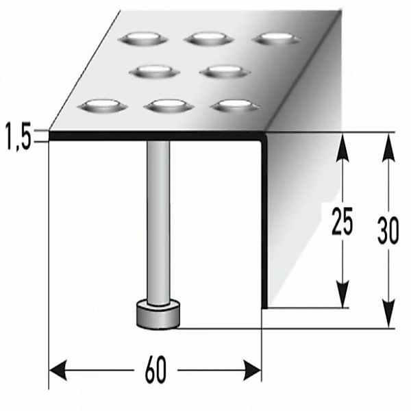 Treppenkante "Lana" / Winkelprofil (Größe 25 mm x 60 mm) aus Edelstahl matt günstig online kaufen