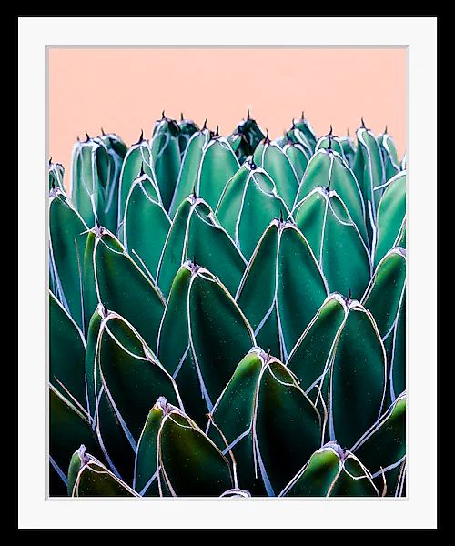 queence Bild »Ruby« Blätter   Kunst   Pflanzen   Pflanzenbilder HD Premium günstig online kaufen