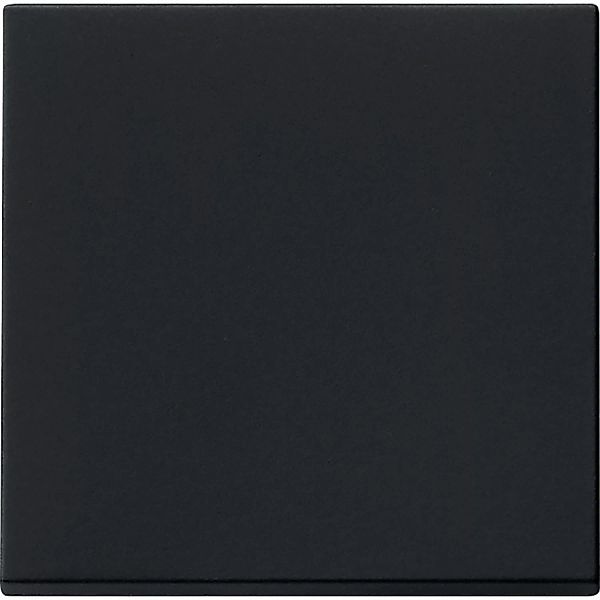 Gira Wippe sw 0296005 günstig online kaufen