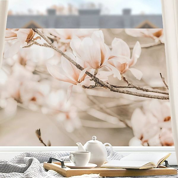 Fensterfolie Magnolienzweige im Vintagestil günstig online kaufen