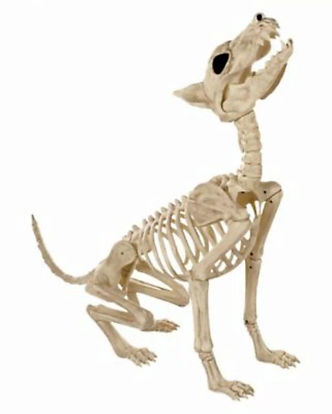 Werwolf Skelett als Halloween Dekoration 70cm Partydeko beige günstig online kaufen