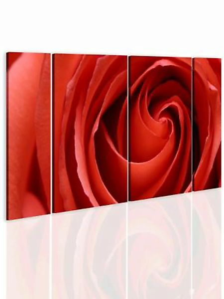 artgeist Wandbild Passionate rose rot Gr. 60 x 30 günstig online kaufen