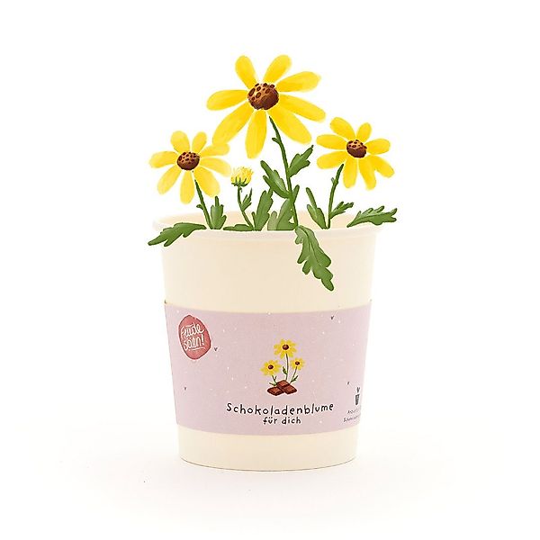 Die Stadtgärtner Anzuchttopf Schokoblumen-Anzuchtset als besonderes günstig online kaufen
