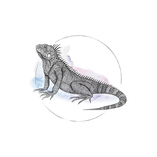 Komar Wandbild Iguana Watercolor 50 x 70 cm günstig online kaufen