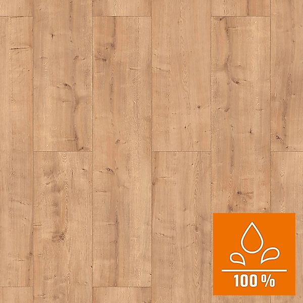 Classen XL Laminat 8 mm Wasserfest Eiche Beige günstig online kaufen