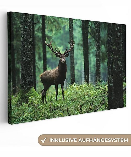 OneMillionCanvasses® Leinwandbild Hirsche - Wald - Bäume - Tiere - Natur, F günstig online kaufen