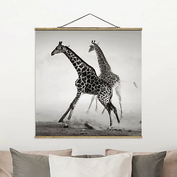 Stoffbild Tiere mit Posterleisten - Quadrat Giraffenjagd günstig online kaufen