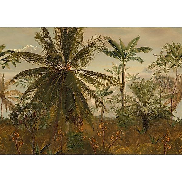 LOOKS by Wolfgang Joop Fototapete Vlies Junglemorningsun 2,7 m x 3,5 m FSC® günstig online kaufen