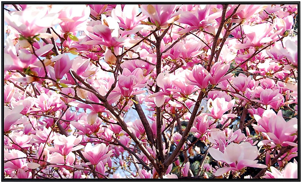 Papermoon Infrarotheizung »Kirschblüten«, sehr angenehme Strahlungswärme günstig online kaufen