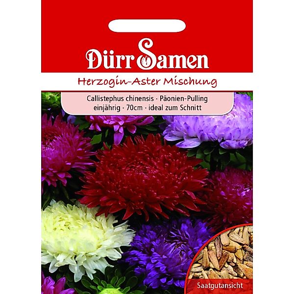 Dürr Samen Herzogin-Aster Prachtmischung Einjährig Saatgut günstig online kaufen