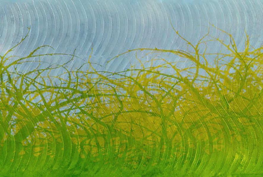 Architects Paper Fototapete »Atelier 47 Thorn hedge 3« Farbverlauf glatt Vl günstig online kaufen