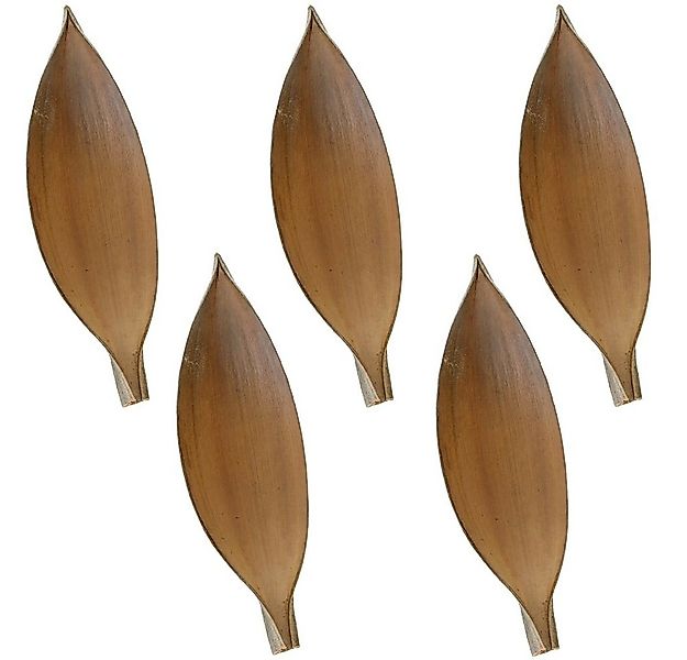 Kunstblume Kokosschalen Naturdeko Bastelmaterial natur 5er Set 30-40 cm Kok günstig online kaufen